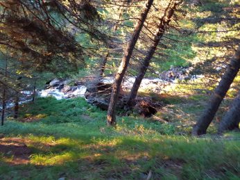 k1600_2016-08-07-06-20-06