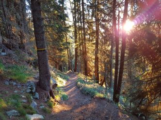 k1600_2016-08-07-06-20-12