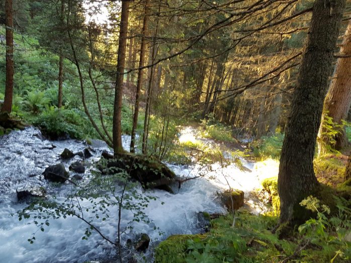 k1600_2016-08-07-07-01-45