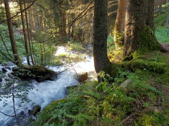 k1600_2016-08-07-07-01-47