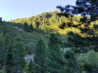 k1600_2016-08-07-08-17-01