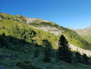 k1600_2016-08-07-08-35-57