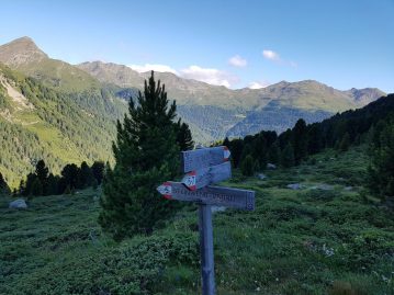 k1600_2016-08-07-08-42-47