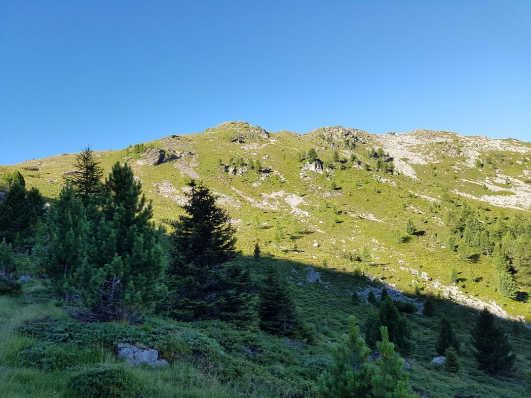 k1600_2016-08-07-08-42-57