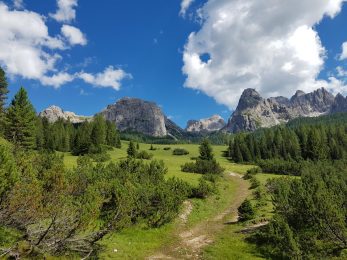 k1600_2016-08-08-15-56-41