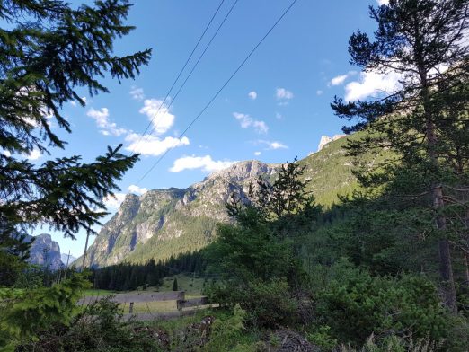 k1600_2016-08-08-17-43-46