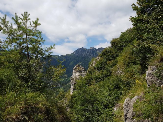 k1600_2016-08-12-11-53-56