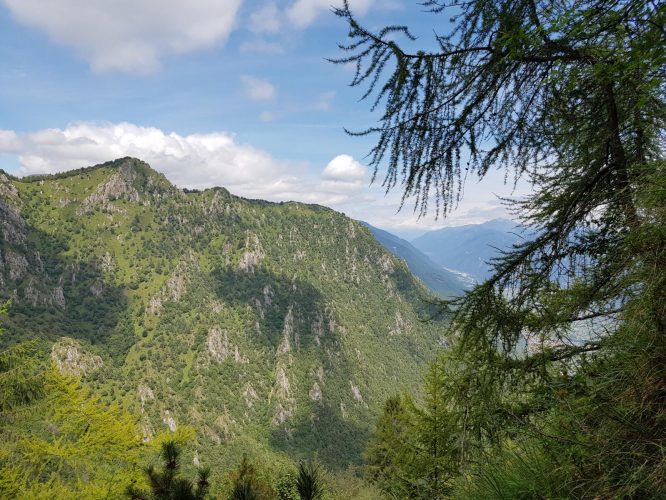 k1600_2016-08-12-13-46-34