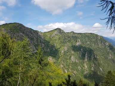 k1600_2016-08-12-13-46-35
