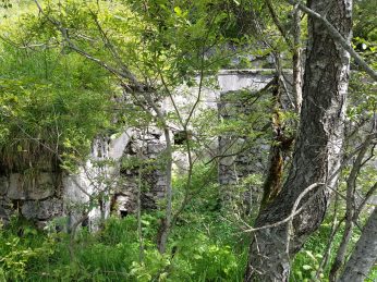 k1600_2016-08-12-14-55-39