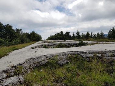 k1600_2016-08-12-15-01-58