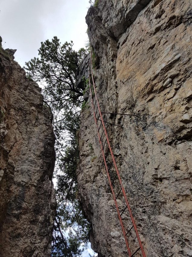 k1600_2016-08-12-15-15-41