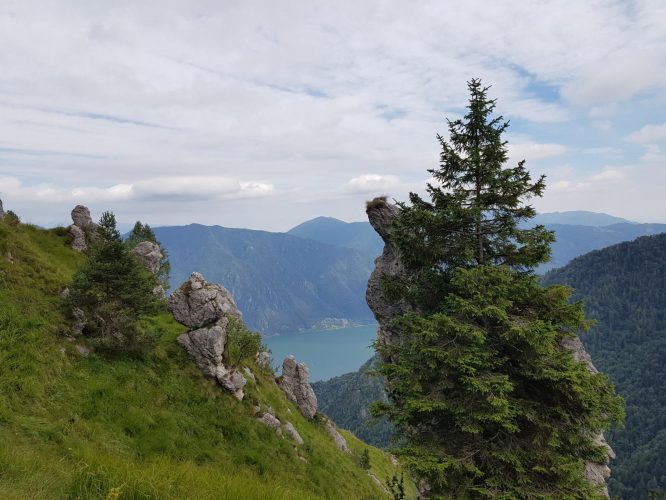 k1600_2016-08-12-15-38-11