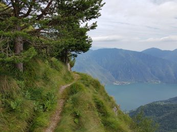 k1600_2016-08-12-15-45-07