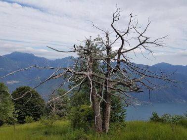 k1600_2016-08-12-15-56-49