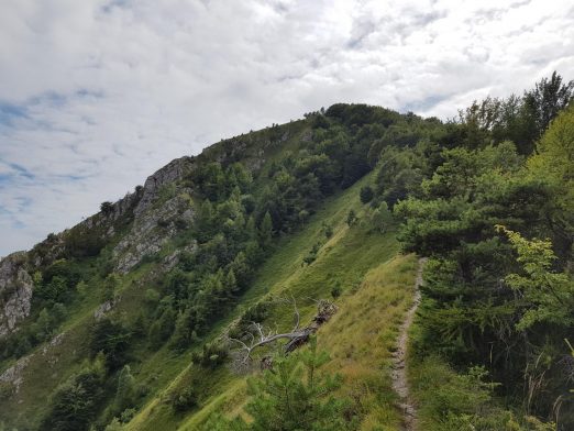 k1600_2016-08-12-16-01-53