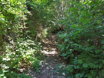 k1600_2016-08-14-13-00-43