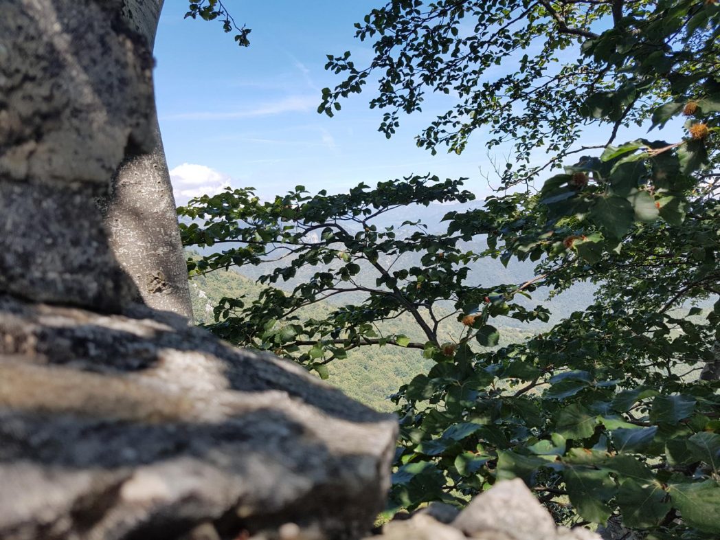 k1600_2016-08-14-13-47-55