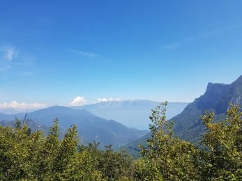 k1600_2016-08-14-13-58-40