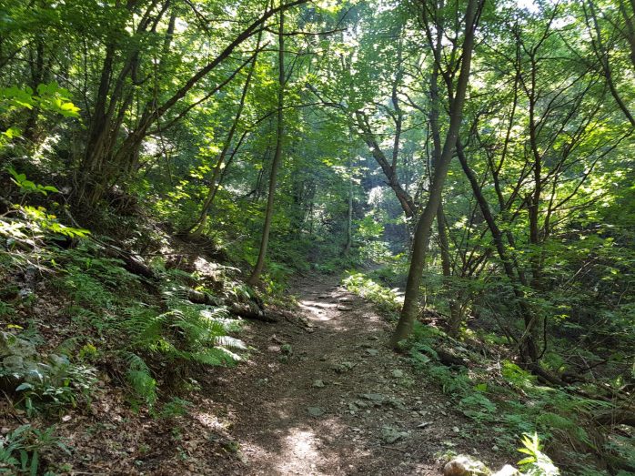 k1600_2016-08-14-15-31-30