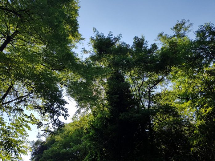 k1600_2016-08-14-17-00-21