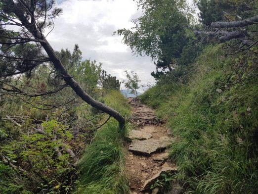 k1600_2016-08-15-10-52-04