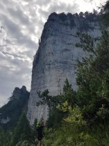 k1600_2016-08-15-11-01-36-1