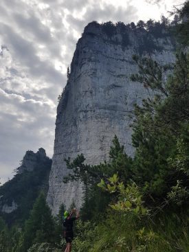 k1600_2016-08-15-11-01-36-1