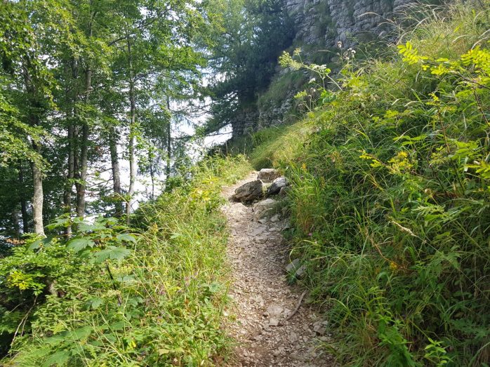 k1600_2016-08-15-11-09-37