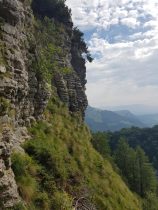 k1600_2016-08-15-11-10-24