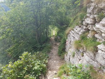 k1600_2016-08-15-11-10-30