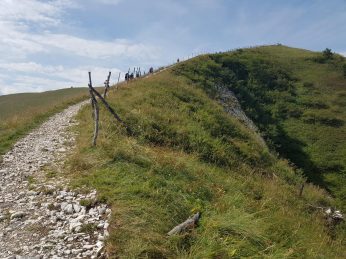 k1600_2016-08-15-11-25-27