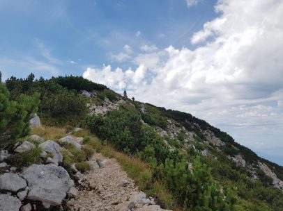 k1600_2016-08-15-12-34-22