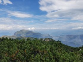 k1600_2016-08-15-12-38-52