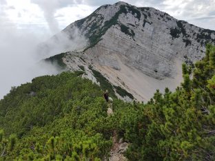 k1600_2016-08-15-13-02-02-1