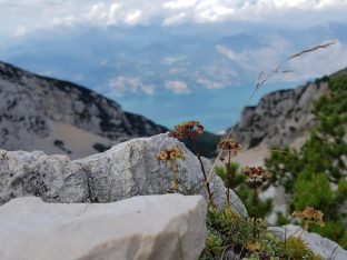 k1600_2016-08-15-13-06-34