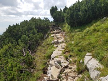 k1600_2016-08-15-13-20-44