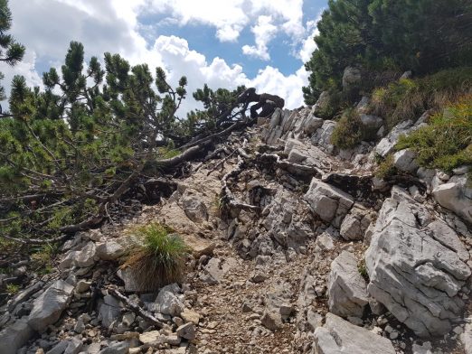 k1600_2016-08-15-13-23-36