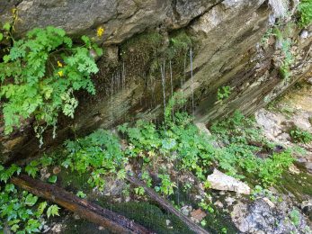 k1600_2016-08-15-15-37-12