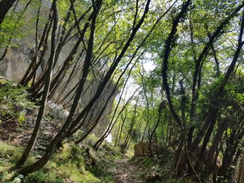 k1600_2016-08-15-16-31-55