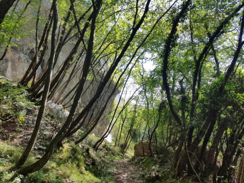 k1600_2016-08-15-16-31-55