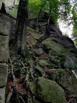 k1600_2016-09-20-11-40-43