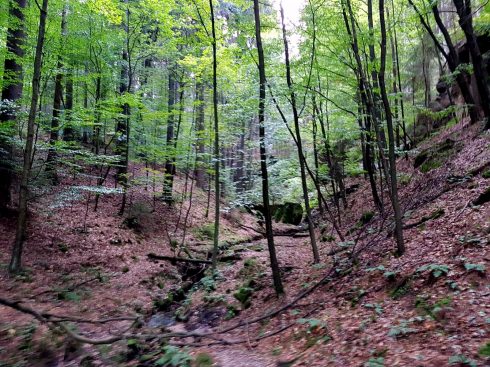 k1600_2016-09-20-11-51-14