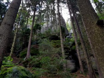 k1600_2016-09-20-11-55-33