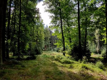 k1600_2016-09-20-12-46-29