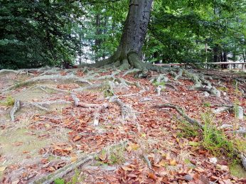 k1600_2016-09-20-13-14-03