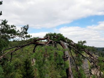 k1600_2016-09-20-13-21-19