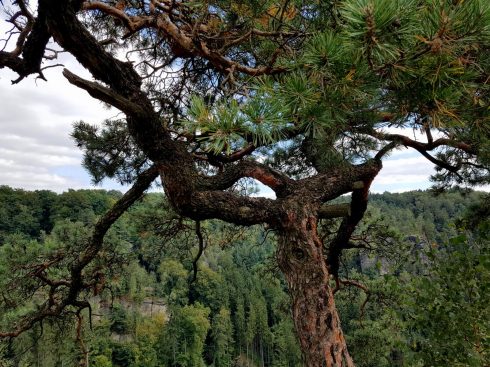 k1600_2016-09-20-13-25-14