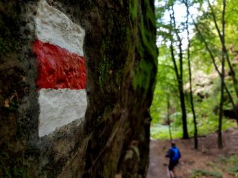 k1600_2016-09-20-13-36-12