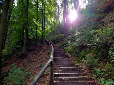 k1600_2016-09-20-14-24-21